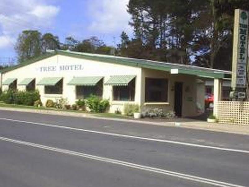 The Tree Motel Narooma Ngoại thất bức ảnh